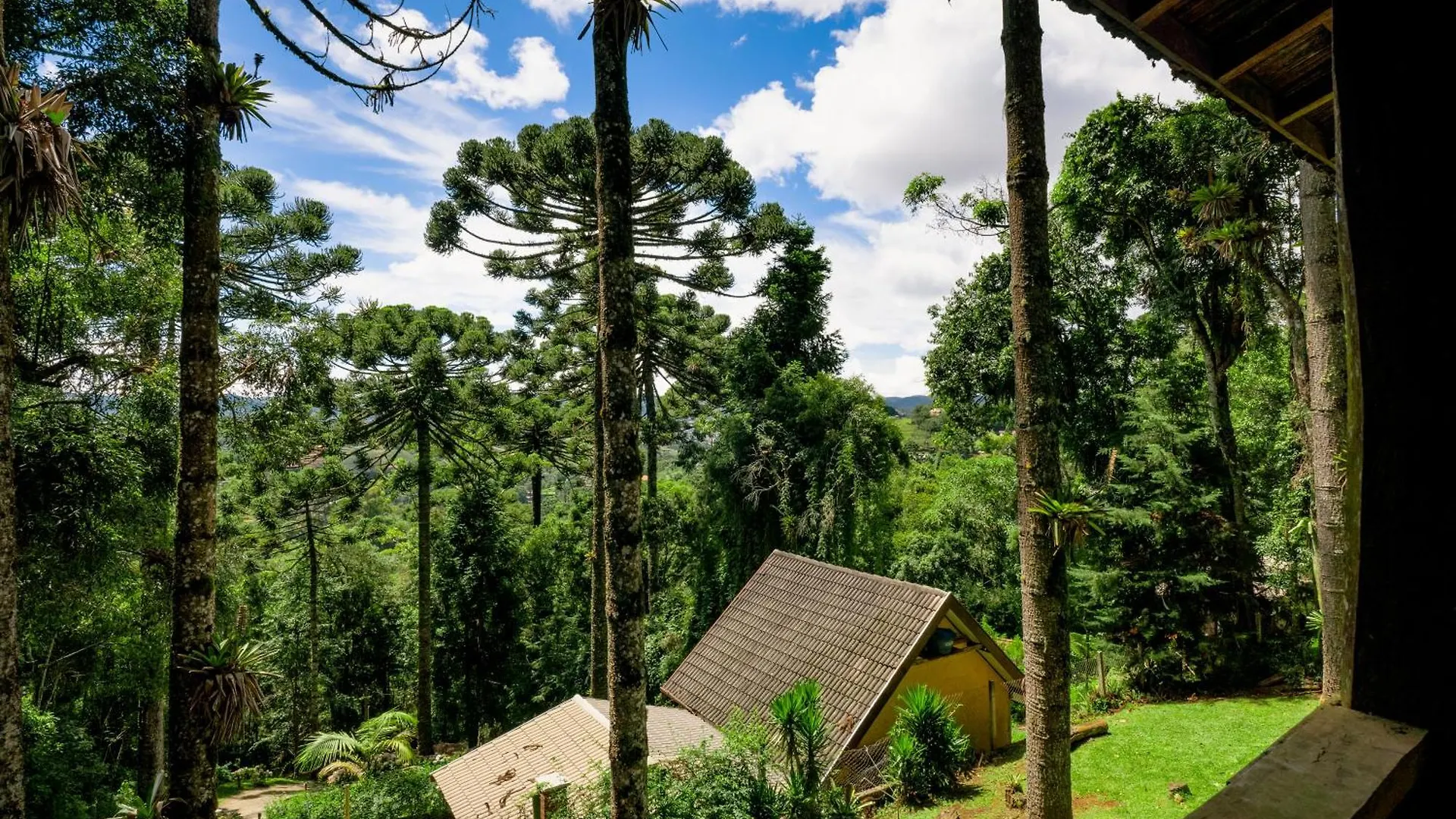 Velinn Pousada Casa De Campos Guest House Campos do Jordão